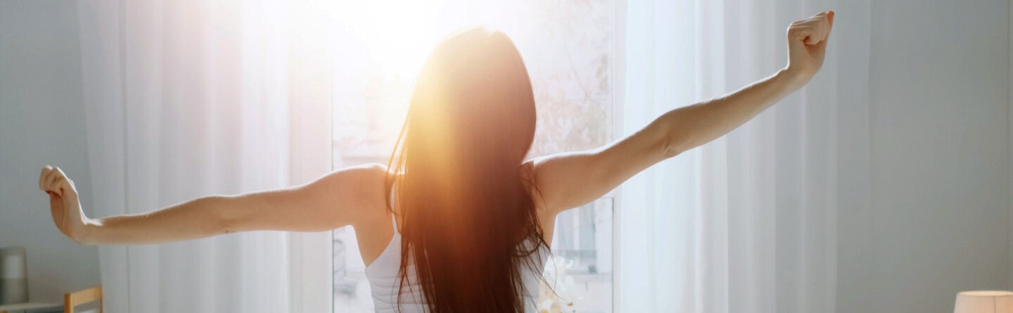 ส่วนบนสุดของเว็บไซต์